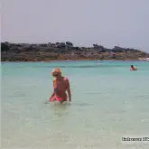 gallery/bikini020.jpg